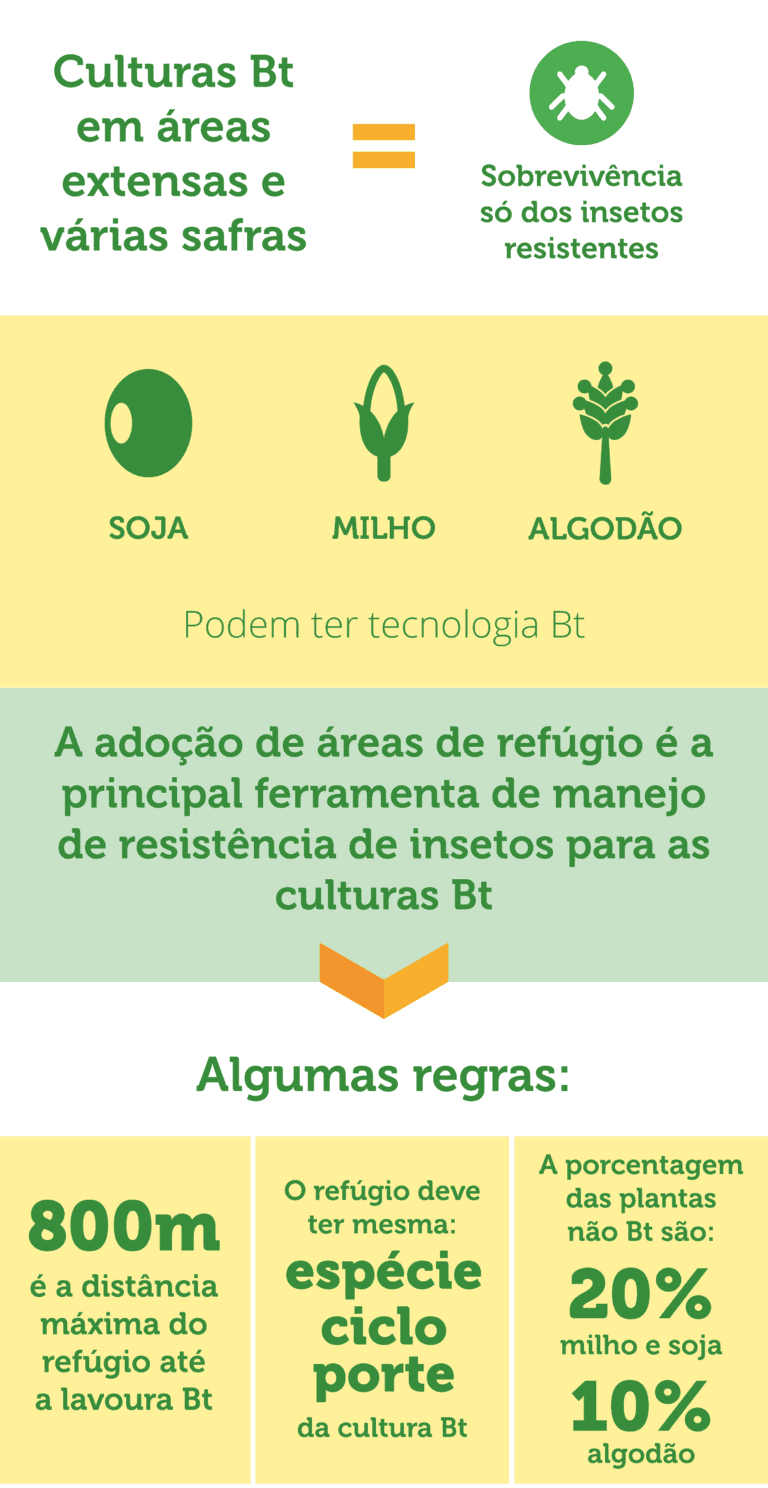 Infográfico explicando as regras e a importância das áreas de refúgio para culturas Bt, mostrando a proporção correta e o posicionamento.