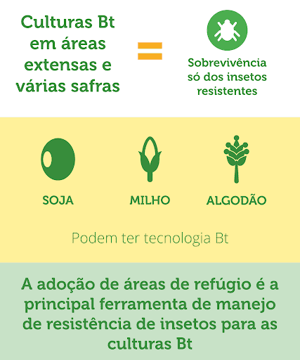 Área de Refúgio: Manejo de Resistencia em Culturas Bt Este é um infográfico educacional que aborda o manejo de resistência de insetos em lavouras com tecnologia Bt (Bacillus thuri