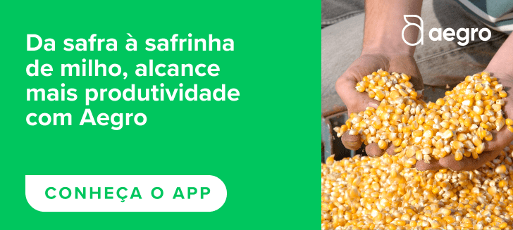 Monitoramento da lavoura de milho com software de gestão agrícola
