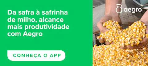 Monitoramento da lavoura de milho com software de gestão agrícola