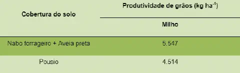 tabela comparativa que demonstra o impacto de diferentes práticas de manejo do solo na produtividade d