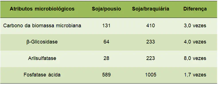 Benefícios da Braquiária na Saúde do Solo para Soja uma tabela comparativa que analisa os atributos microbiológicos do solo sob dois sistemas de manejo agrícola:
