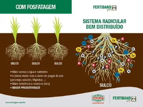 infográfico técnico que ilustra os benefícios da fosfatagem na agricultura. A ilustração é dividida em duas par