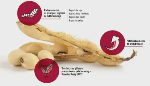 infográfico que detalha os benefícios de uma variedade de soja, provavelmente geneticamente modificada. No cent