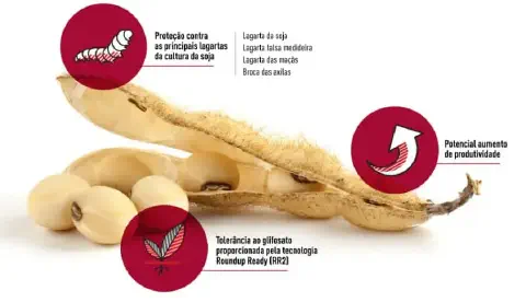 infográfico que detalha os benefícios de uma variedade de soja, provavelmente geneticamente modificada. No cent