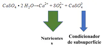 infográfico que ilustra a reação química do gesso agrícola (sulfato de cálcio di-hidratado, CaSO₄ · 2 H