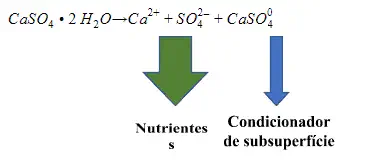 infográfico que ilustra a reação química do gesso agrícola (sulfato de cálcio di-hidratado, CaSO₄ · 2 H