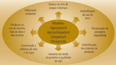 infográfico que ilustra os benefícios dos sistemas integrados de produção agrícola. No centro, uma elipse desta