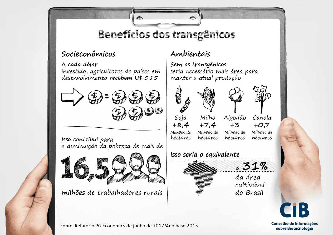 infográfico informativo, apresentado em uma prancheta segurada por mãos, que detalha os ‘Benefícios dos transgê