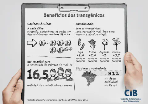 infográfico informativo, apresentado em uma prancheta segurada por mãos, que detalha os 'Benefícios dos transgê