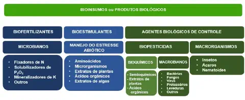Figura 1. Principais categorias de bioinsumos utilizados na agricultura e suas respectivas funções agronômicas.