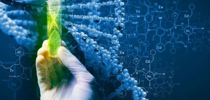 Biotecnologia Agrícola: Genética e Inovação no Campo a fusão entre a natureza e a ciência avançada no contexto agrícola. Em primeiro plano, uma mão enluvada, sim