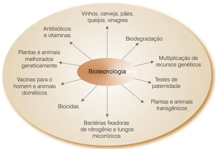 Biotecnologia: Conheça as Principais Aplicações no Agro infográfico em formato de mapa mental que ilustra as diversas aplicações da biotecnologia. No centro, uma elips
