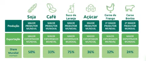 Este infográfico detalha a posição de liderança do Brasil no mercado global de agronegócio, analisando seis produtos-chave: s