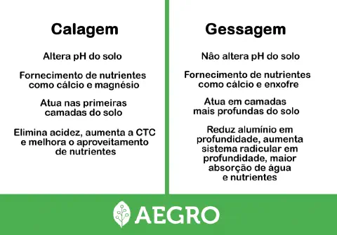 infográfico comparativo que explica de forma clara e direta as diferenças entre duas práticas fundamentais de m