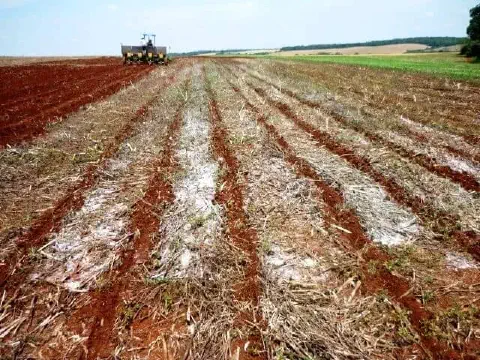 operação agrícola em uma vasta lavoura de solo avermelhado, característico de regiões de alta produtivid