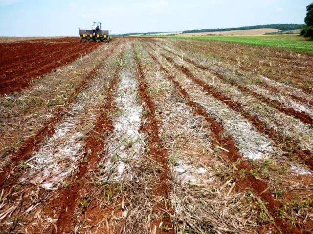 operação agrícola em um vasto campo de terra avermelhada, característico de solos férteis. Em primeiro p