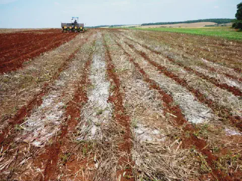 operação agrícola em um vasto campo de terra avermelhada, característico de solos férteis. Em primeiro p