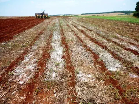 operação agrícola em um vasto campo de terra avermelhada, característico de solos férteis. Em primeiro p