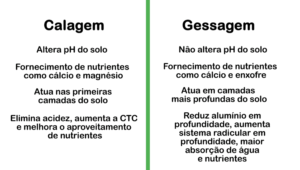 Calagem vs. Gessagem: Entenda as Principais Diferenças infográfico comparativo que apresenta as principais diferenças entre duas práticas de manejo e correção de solo