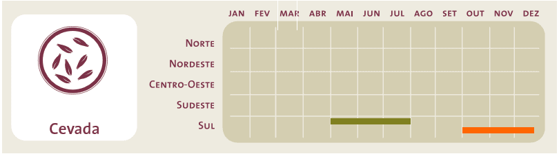 infográfico sobre o calendário agrícola da cevada no Brasil. À esquerda, há um ícone estilizado de grão