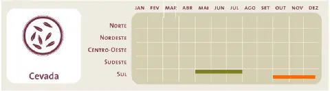 infográfico sobre o calendário agrícola da cevada no Brasil. À esquerda, há um ícone estilizado de grão