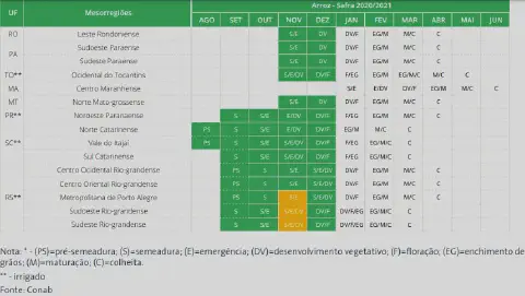 calendário agrícola detalhado para a cultura do arroz, referente à safra 2020/2021, com fonte da Conab. A t