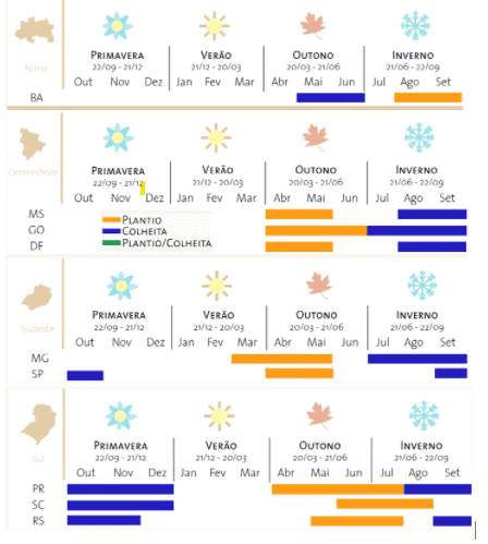infográfico que funciona como um calendário agrícola para as principais regiões do Brasil: Norte, Centro-Oe