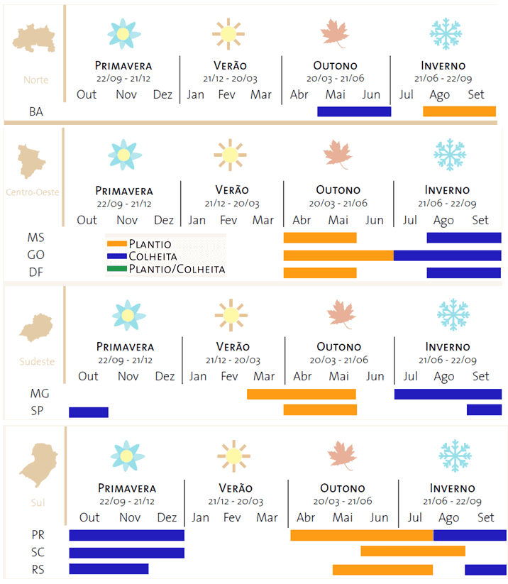 Calendário Agrícola: Época de Plantio e Colheita no Brasil infográfico detalhado do calendário agrícola para as principais regiões do Brasil: Norte, Centro-Oeste,