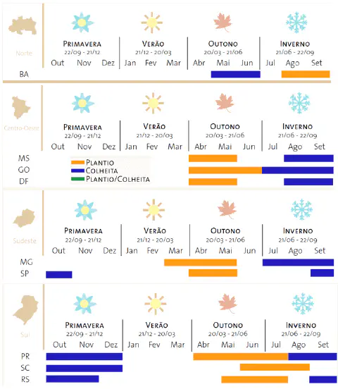 infográfico detalhado do calendário agrícola para as principais regiões do Brasil: Norte, Centro-Oeste,