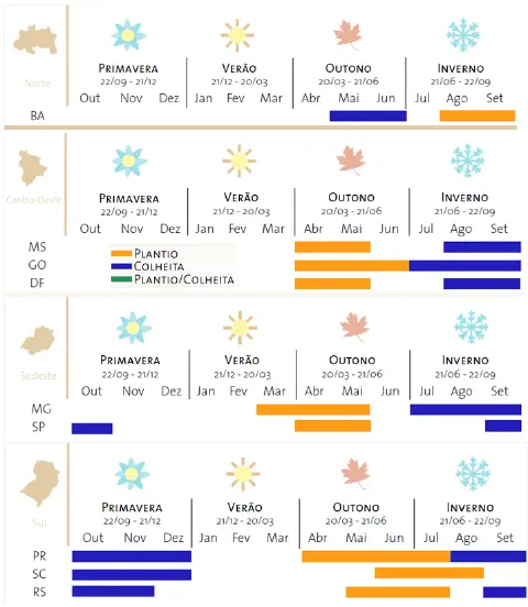 infográfico detalhado do calendário agrícola para as principais regiões do Brasil: Norte, Centro-Oeste,