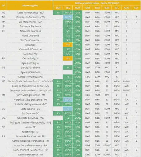 uma tabela detalhada do calendário agrícola para o cultivo de milho primeira safra, referente à safra 2020/202