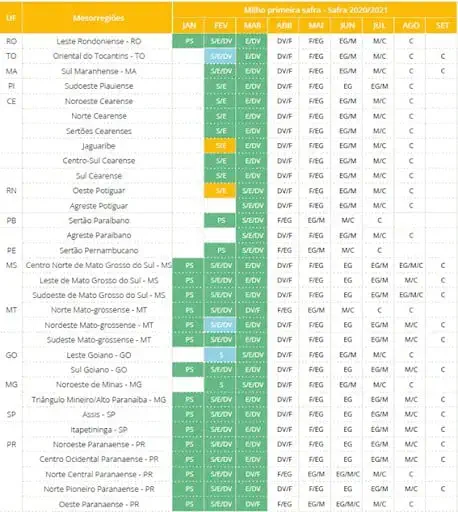 uma tabela detalhada do calendário agrícola para o cultivo de milho primeira safra, referente à safra 2020/202