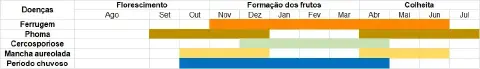 calendário agrícola em formato de gráfico de Gantt, projetado para o planejamento e manejo de uma cultura a