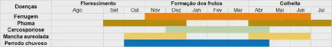 calendário agrícola em formato de gráfico de Gantt, projetado para o planejamento e manejo de uma cultura a