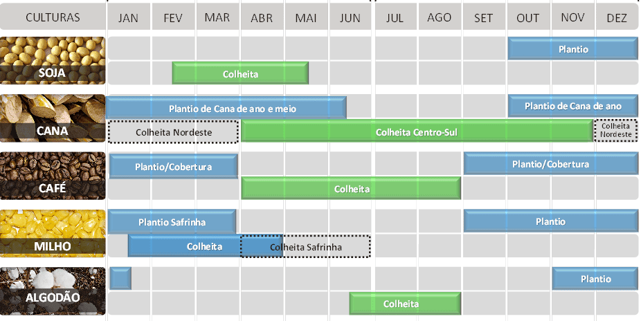 calendário agrícola anual, em formato de infográfico, detalhando os períodos de plantio e colheita para