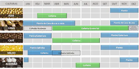calendário agrícola anual, em formato de infográfico, detalhando os períodos de plantio e colheita para