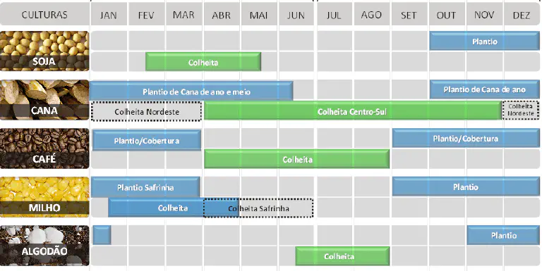 calendário agrícola, em formato de gráfico de Gantt, que ilustra os períodos de plantio e colheita para cin