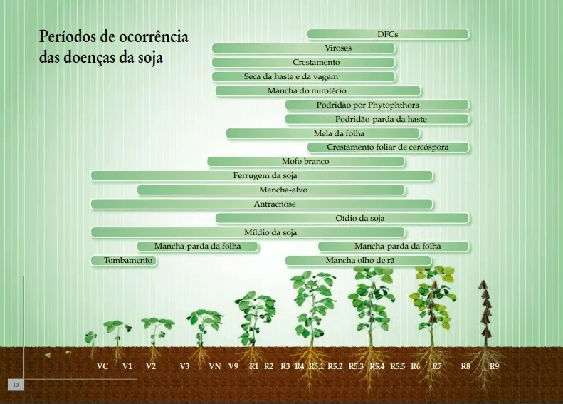 infográfico detalhado que ilustra os períodos de ocorrência das principais doenças que afetam a cultura da soja