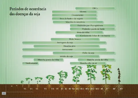 infográfico detalhado que ilustra os períodos de ocorrência das principais doenças que afetam a cultura da soja