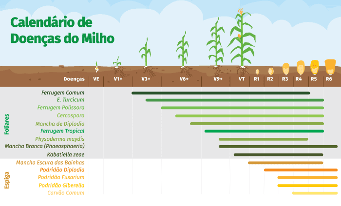 Guia visual de doenças do milho mostrando sintomas de ferrugem e outras doenças foliares com condições ambientais favoráveis para cada patógeno