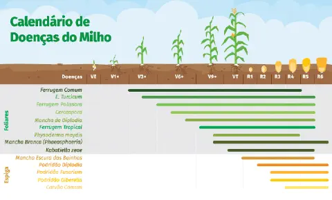 Guia visual de doenças do milho mostrando sintomas de ferrugem e outras doenças foliares com condições ambientais favoráveis para cada patógeno