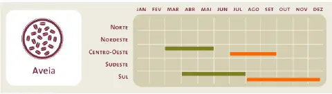 infográfico informativo sobre o calendário agrícola da aveia no Brasil. À esquerda, um ícone representa os