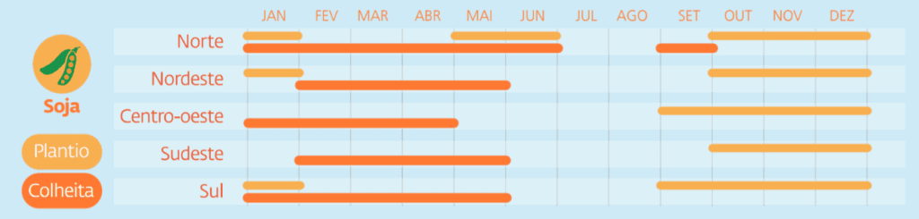 infográfico detalhado do calendário agrícola para a cultura da soja no Brasil, dividido pelas cinco pri