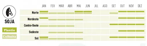 infográfico detalhado do calendário agrícola para o cultivo de soja no Brasil, segmentado pelas cinco princ
