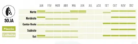 infográfico detalhado do calendário agrícola para o cultivo de soja no Brasil, segmentado pelas cinco princ