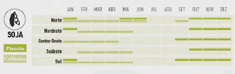 infográfico detalhado do calendário agrícola para o cultivo de soja no Brasil, segmentado pelas cinco princ