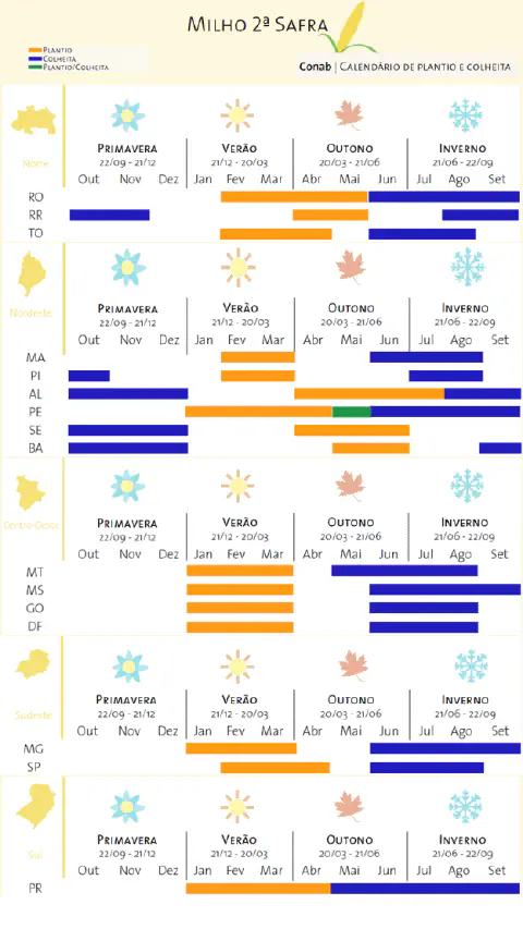 Este infográfico, elaborado pela Conab, detalha o calendário de plantio e colheita para o milho 2ª safra, também conhecido co