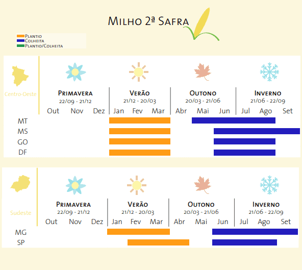 Este infográfico detalha o calendário agrícola para o cultivo do milho de segunda safra, também conhecido como ‘safrinha’, na