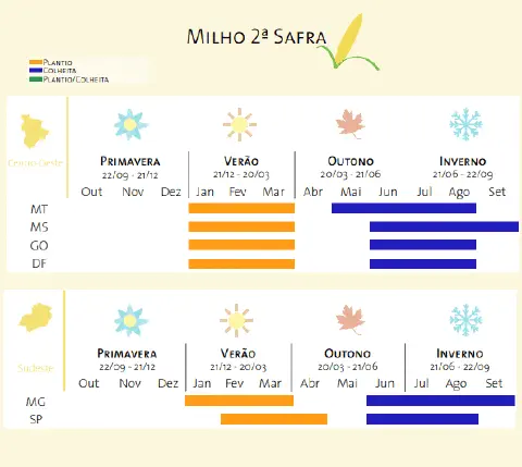 Este infográfico detalha o calendário agrícola para o cultivo do milho de segunda safra, também conhecido como 'safrinha', na